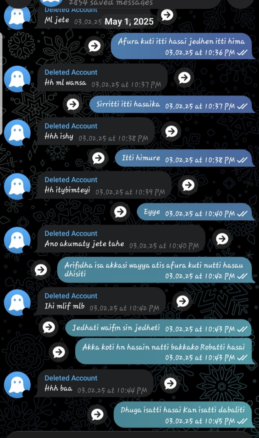 A screenshot of Caliye and Feniye's chat, memory two