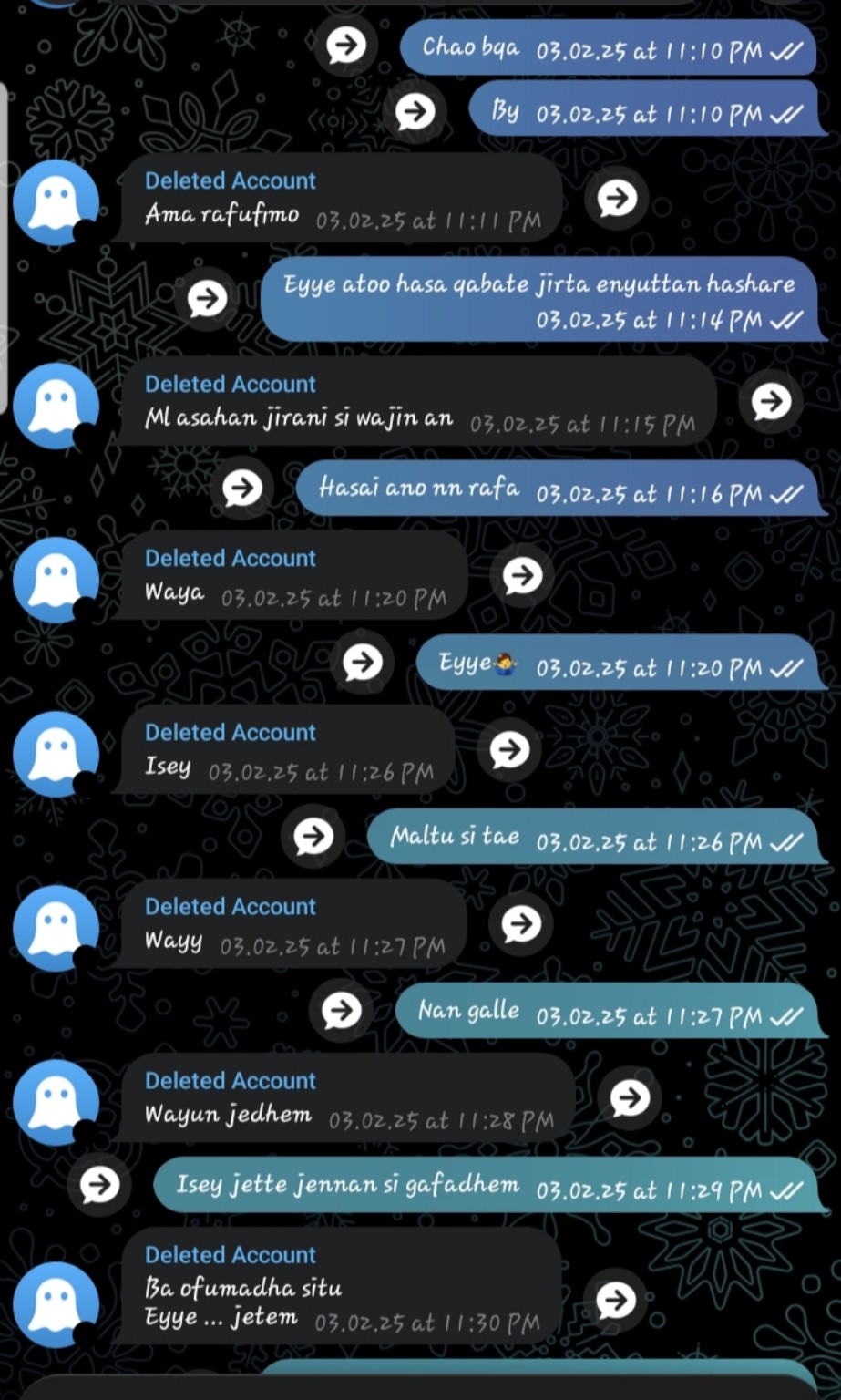 A screenshot of Caliye and Feniye's chat, memory three
